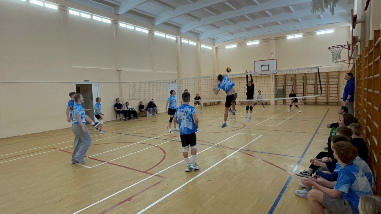 Районное мероприятие по волейболу Всероссийских спортивных игр "Президентские спортивные игры"